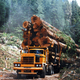 Illustration for article titled Pacific Trucks